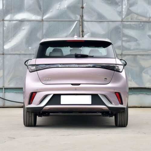 Hot Sell 2023 Fashion 95ps 420km Byd Dolphin 4 Wheel Mini Electric Cars For Adults
