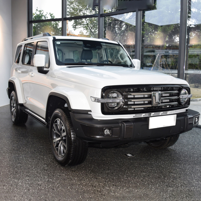 China Cheap Price Off-Road Tank 300 4x4 Vehicle Petrol Gasoline Suv Tank 300 New Cars