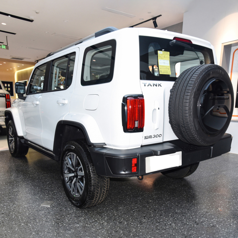 China Cheap Price Off-Road Tank 300 4x4 Vehicle Petrol Gasoline Suv Tank 300 New Cars