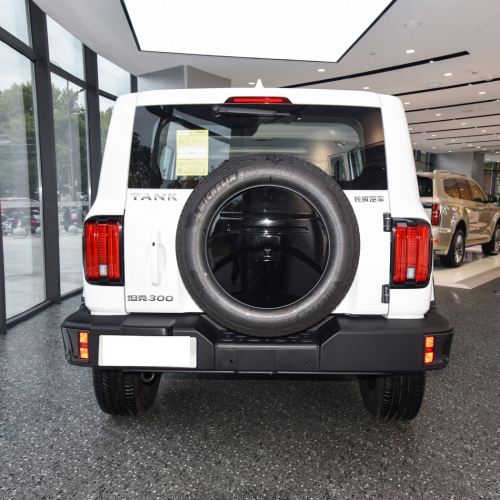 China Cheap Price Off-Road Tank 300 4x4 Vehicle Petrol Gasoline Suv Tank 300 New Cars
