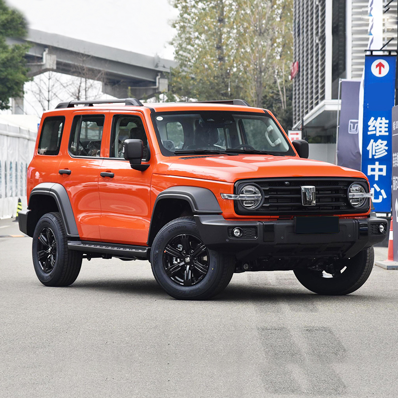 Hot Selling 2023 2.0t 4wd Gwm Tank 300 Adult Petrol Gasoline Tank 300 Suv Car