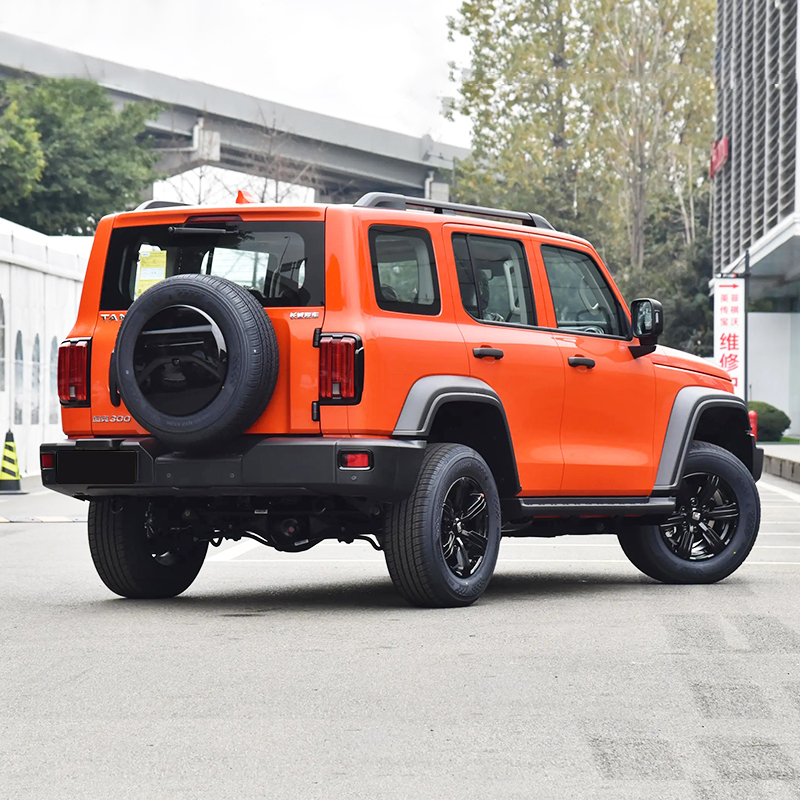 Hot Selling 2023 2.0t 4wd Gwm Tank 300 Adult Petrol Gasoline Tank 300 Suv Car
