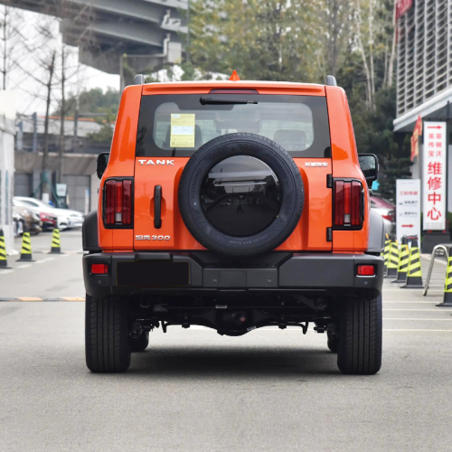 Hot Selling 2023 2.0t 4wd Gwm Tank 300 Adult Petrol Gasoline Tank 300 Suv Car