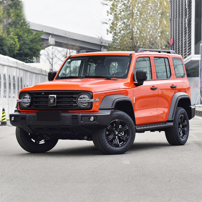 Hot Selling 2023 2.0t 4wd Gwm Tank 300 Adult Petrol Gasoline Tank 300 Suv Car
