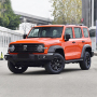 Hot Selling 2023 2.0t 4wd Gwm Tank 300 Adult Petrol Gasoline Tank 300 Suv Car
