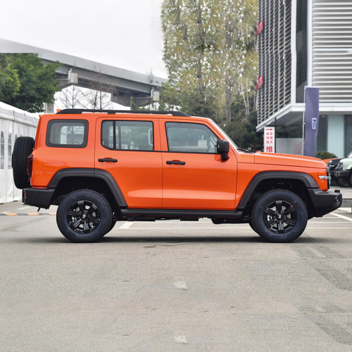 Hot Selling 2023 2.0t 4wd Gwm Tank 300 Adult Petrol Gasoline Tank 300 Suv Car