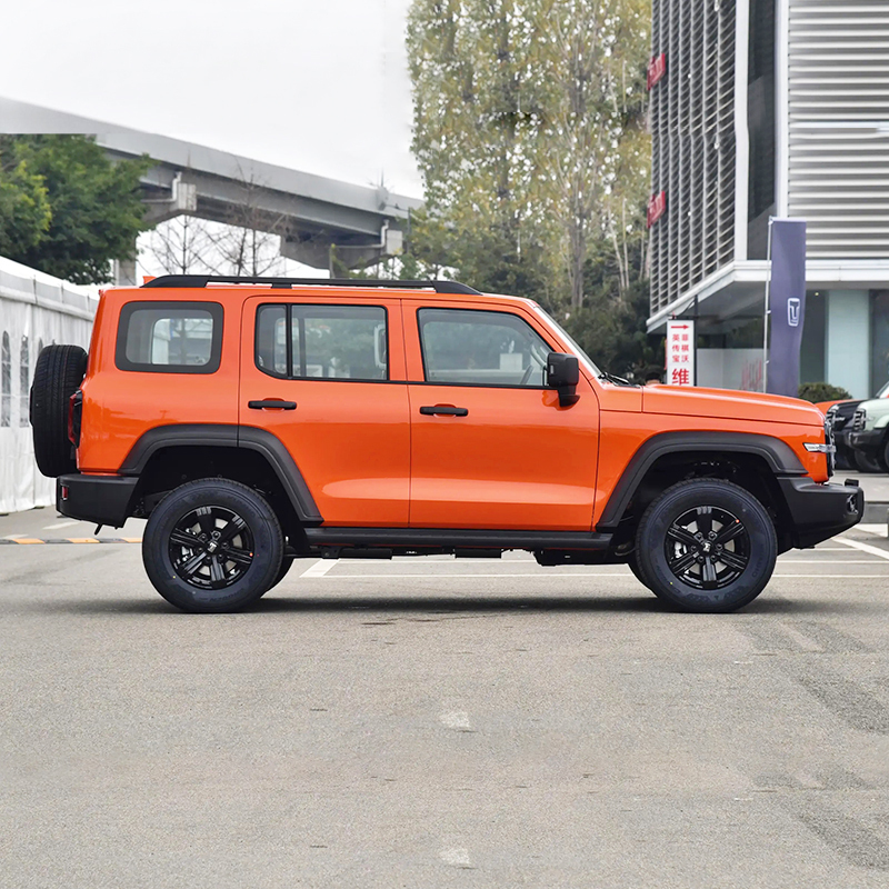 Hot Selling 2023 2.0t 4wd Gwm Tank 300 Adult Petrol Gasoline Tank 300 Suv Car