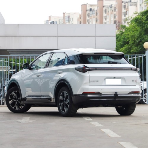 2022 Hozon Neta U 610 420 400 Lite 5seats New Suv Ev Electric Cars For Adults