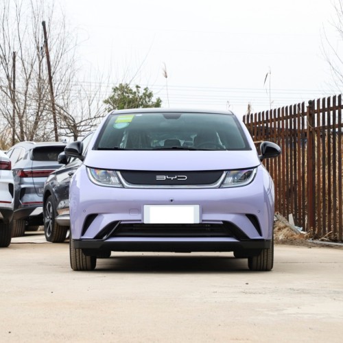 2022 Chinese Cheap BYD Electric Car Dolphin 130kw 401km EV 2023 Electric Cars