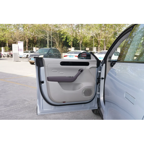 Leapmotor C11 New Energy Vehicles Electric Cars