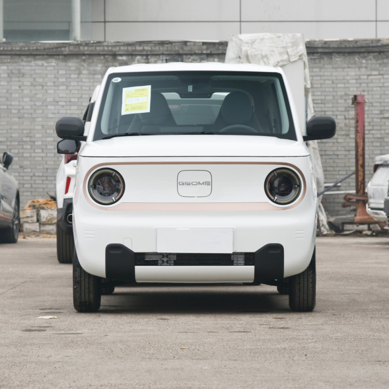 2023 Hot Sale China Made Geely Panda Mini Car 200KM Mini Auto Electrico Geely Panda Mini EV Car New Energy Vehicles