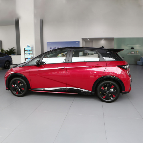 BYD Smart EV Cars 5 Door 5 People 2WD 2024 BYD Dolphin Mini New Electric Cars For Adult