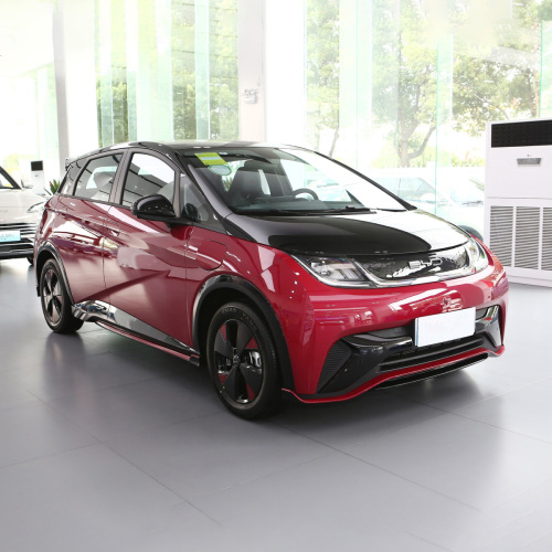 BYD Smart EV Cars 5 Door 5 People 2WD 2024 BYD Dolphin Mini New Electric Cars For Adult