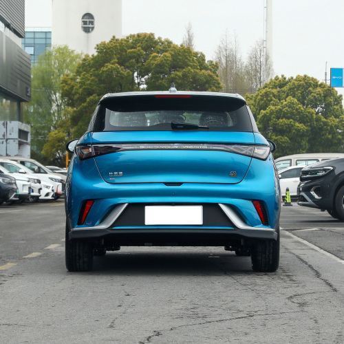 Low Price Byd Dolphin 2wd Fwd Adult 4 Wheel New Energy Vehicle Mini EV Electric Cars BYD Dolphin