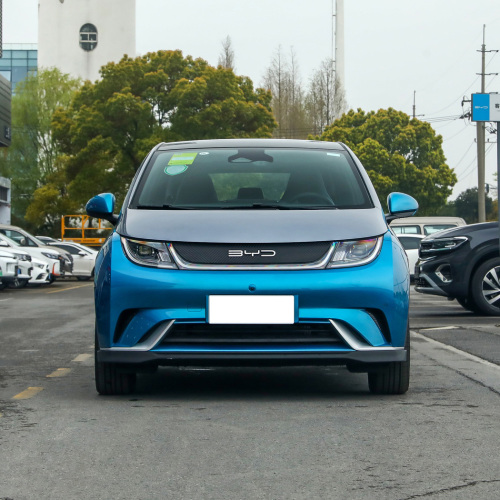 Low Price Byd Dolphin 2wd Fwd Adult 4 Wheel New Energy Vehicle Mini EV Electric Cars BYD Dolphin