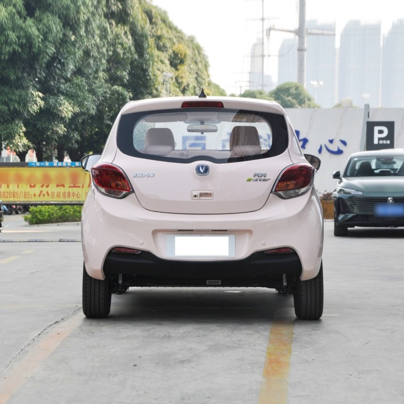Hot Sell Changan Benben 5 Seater 310km New Energy Vehicle Mini Electric Cars For Older