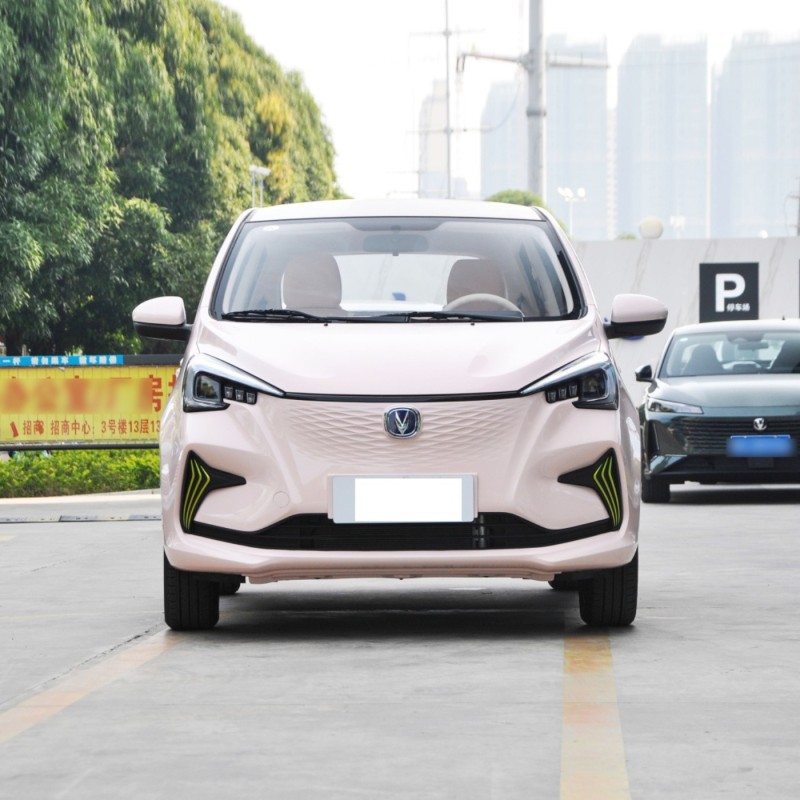 Hot Sell Changan Benben 5 Seater 310km New Energy Vehicle Mini Electric Cars For Older