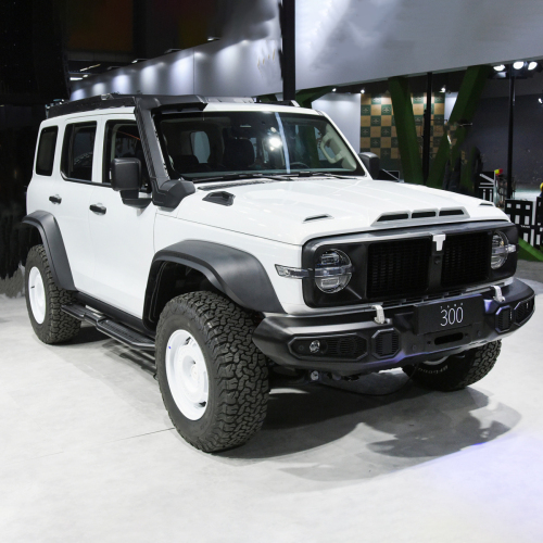 China 2024 Tank 300 2.0T 5 Seat 5 Door Off-road Vehicle Petrol Gasoline Suv Car Tank 300