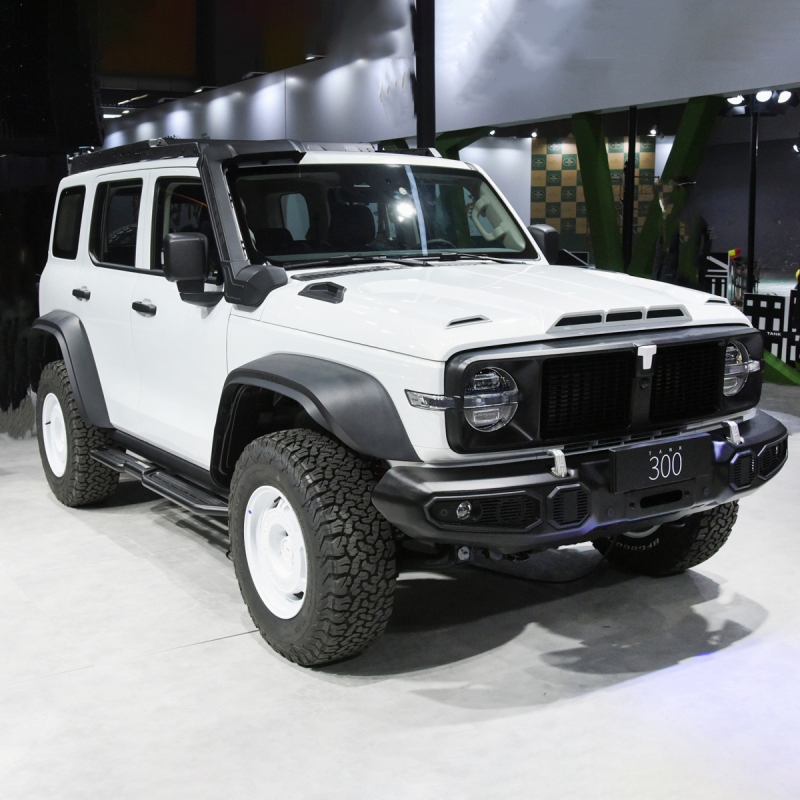 China 2024 Tank 300 2.0T 5 Seat 5 Door Off-road Vehicle Petrol Gasoline Suv Car Tank 300