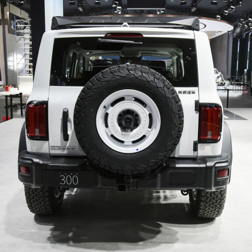 China 2024 Tank 300 2.0T 5 Seat 5 Door Off-road Vehicle Petrol Gasoline Suv Car Tank 300
