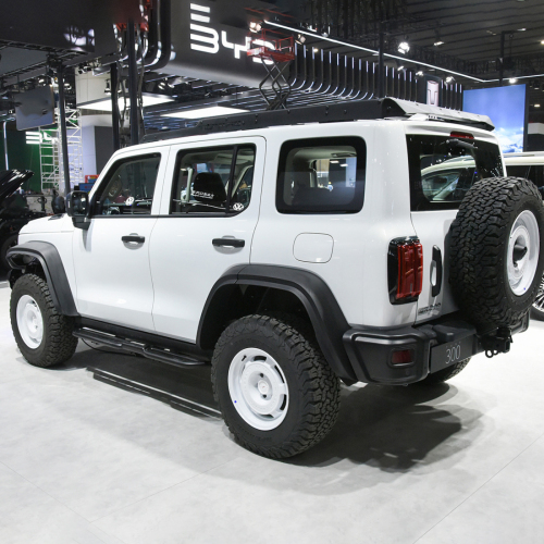 China 2024 Tank 300 2.0T 5 Seat 5 Door Off-road Vehicle Petrol Gasoline Suv Car Tank 300