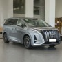 2023 China Denza High Speed AWD MPV BYD Denza D9 New Energy Vehicle Electric Cars