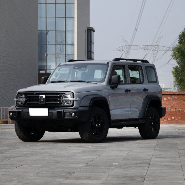 2023 New Full Option 4 Wheel Drive Tank 500 Black Tank 300 SUV Cars
