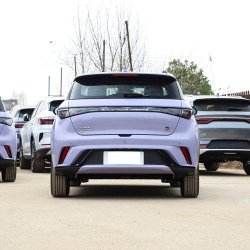 High Speed 5 Seater SUV Hatchback 420KM 401KM BYD Dolphin Chinese EV Car Electric Cars Prices