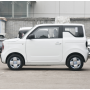 Chinese 2023 New Energy Vehicle Minicar Geely Panda Mini Electric Car for sale