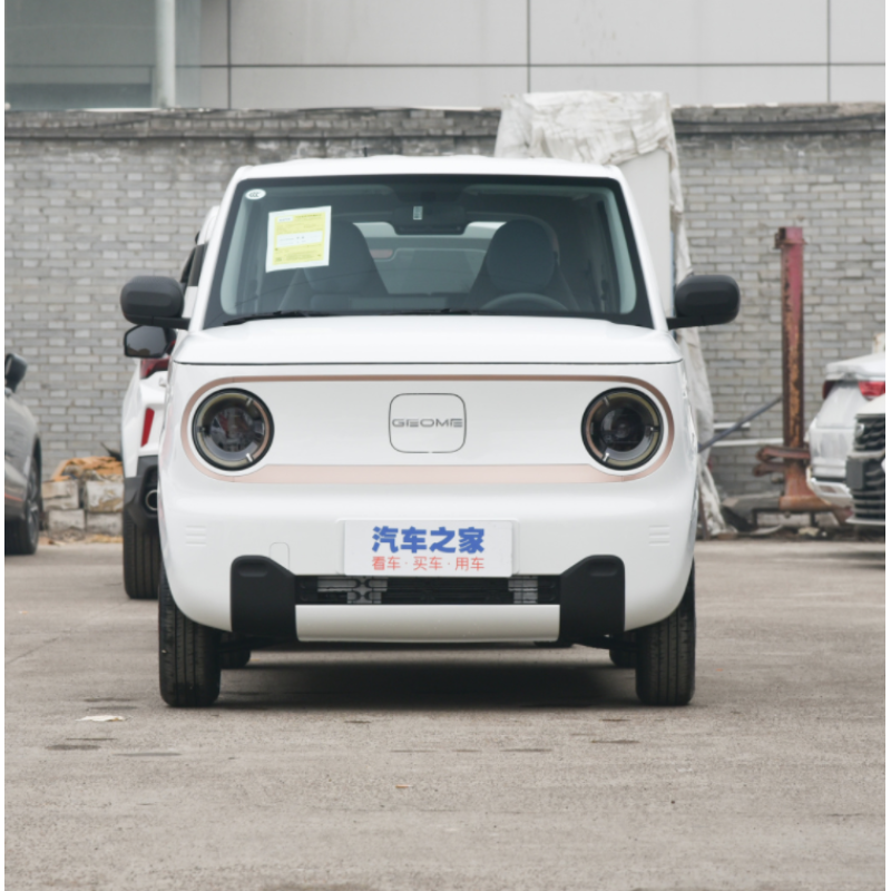 Chinese 2023 New Energy Vehicle Minicar Geely Panda Mini Electric Car for sale