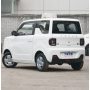 Chinese 2023 New Energy Vehicle Minicar Geely Panda Mini Electric Car for sale