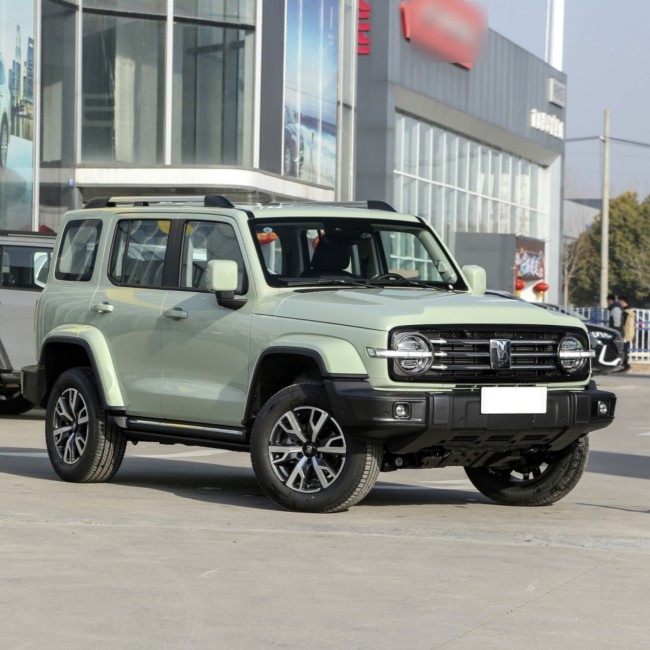 2023 GWM Tank 300 2.0T 4 Wheel Petrol Suv Gasoline Sports Tank 300 Car For Sale