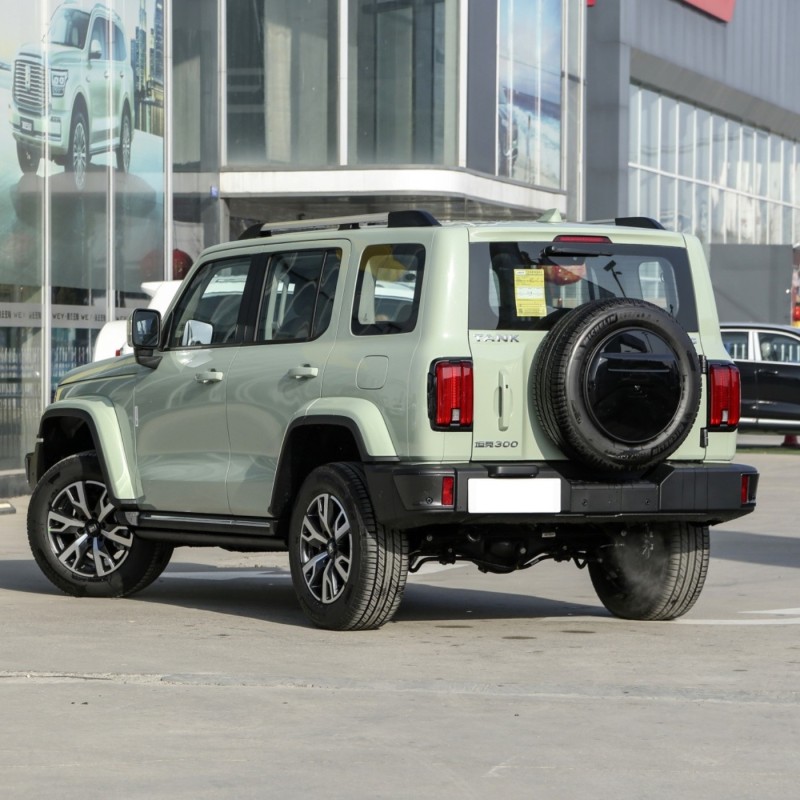 2023 GWM Tank 300 2.0T 4 Wheel Petrol Suv Gasoline Sports Tank 300 Car For Sale