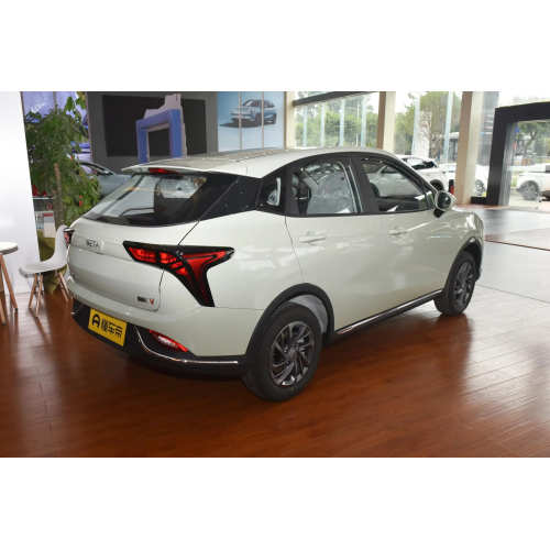 Cheap 4 Wheel Neta V SUV Electric Car Prices New Energy Vehicles