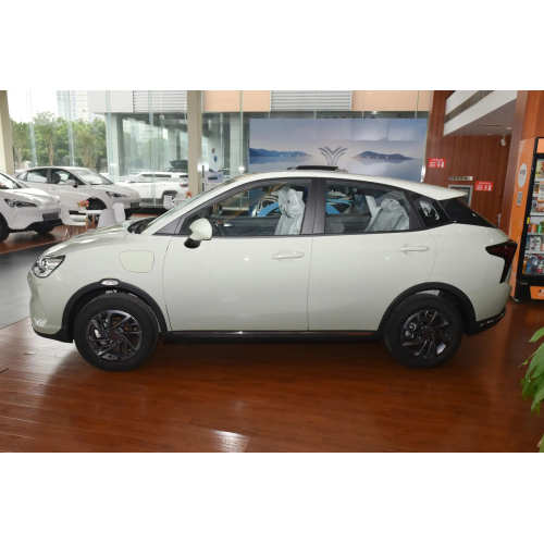 Cheap 4 Wheel Neta V SUV Electric Car Prices New Energy Vehicles