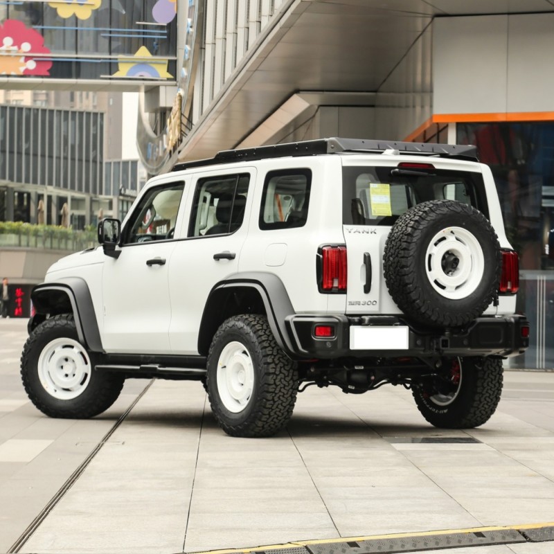 Low Price Luxury Off-Road Vehicle GWM Tank 300 2023 2.0T Suv 4 Wheel Gasoline Petrol Car For Sale