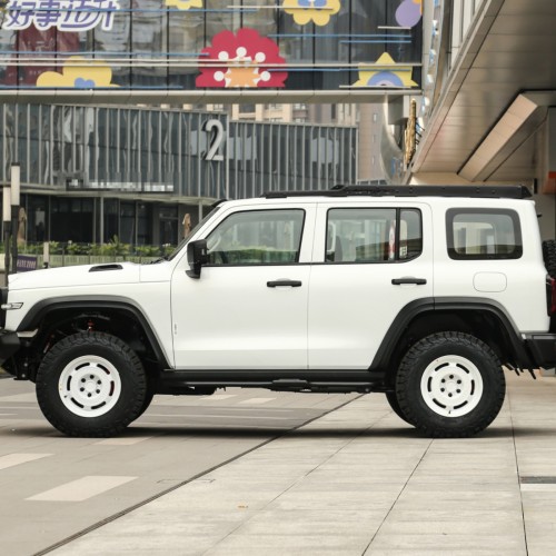 Low Price Luxury Off-Road Vehicle GWM Tank 300 2023 2.0T Suv 4 Wheel Gasoline Petrol Car For Sale