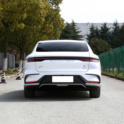 Hot Sell BYD Auto BYD Han EV Champion 610km 4WD Awd Electric Cars Made In China