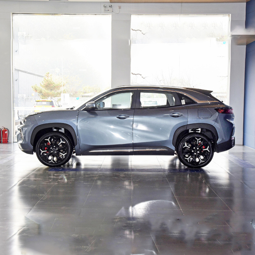 Chinese Hot Sell Low Price SUV New Energy Vehicle Chery Big Ant Electric Car for sale