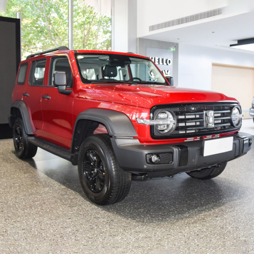 2023 China Gwm Off-Road Edition 2.0t Petrol Gasoline Tank 300 Suv Car