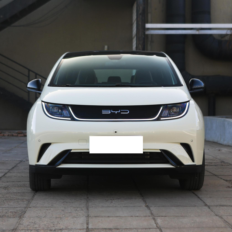 2023 Byd Dolphin Free Edition 420km Small New Energy Vehicle Mini Electric Cars