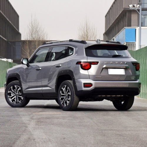 Great Wall GWM Dargo 2.0 1.5T 2wd 4wd Adult Suv New Petrol Gasoline Cars