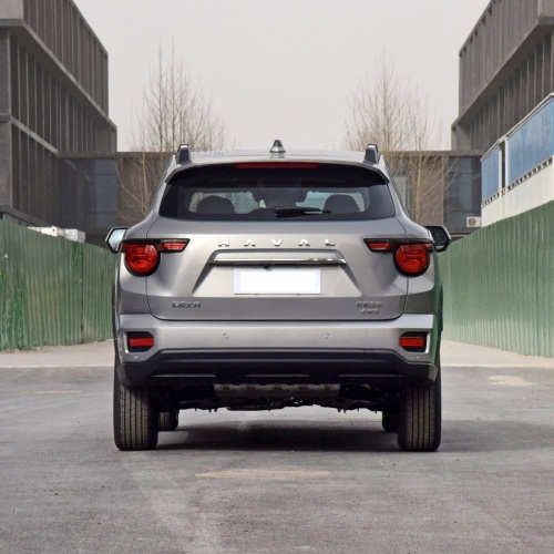 Great Wall GWM Dargo 2.0 1.5T 2wd 4wd Adult Suv New Petrol Gasoline Cars