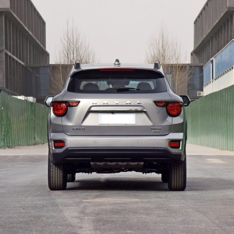 Great Wall GWM Dargo 2.0 1.5T 2wd 4wd Adult Suv New Petrol Gasoline Cars