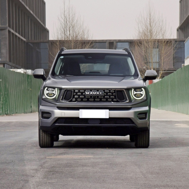 Great Wall GWM Dargo 2.0 1.5T 2wd 4wd Adult Suv New Petrol Gasoline Cars