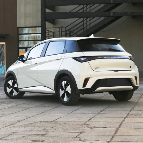 Hot Selling 2023 BYD Dolphin 2wd Small New Energy Vehicle Mini Electric Cars for sale