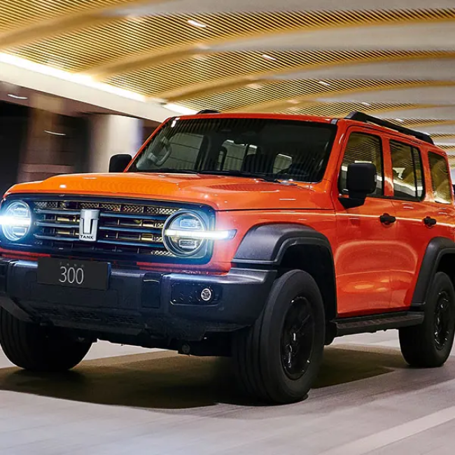 2023 2024 Low Price 2.0T 5 Seater 4 Wheel Great Wall Tank 300 Petrol Gasoline Suv Car For Adult
