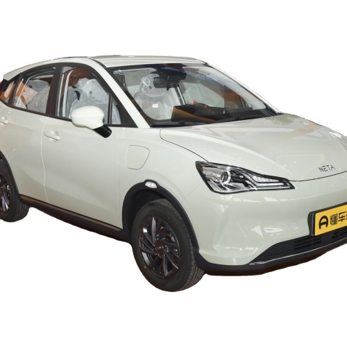 Nata V SUV Chinese Cheap Electric Car Made in China