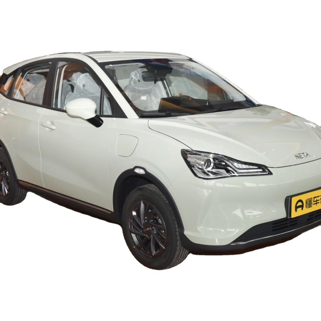 Nata V SUV Chinese Cheap Electric Car Made in China