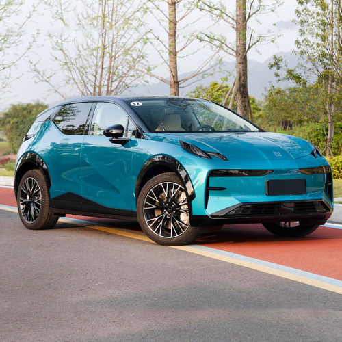Zeekr YOU Top 4WD SUV Electric Suv Cars 4x4 for Adults 4 Seats